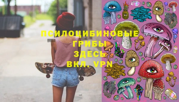 прущая мука Магас